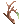 Dry Twig
