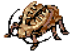 Golden Thief Bug