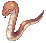 Snake Lord's Minion
